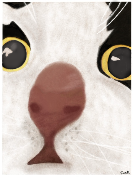Closeup artwork of a cat's face with huge eyes and huge nose in the middle.